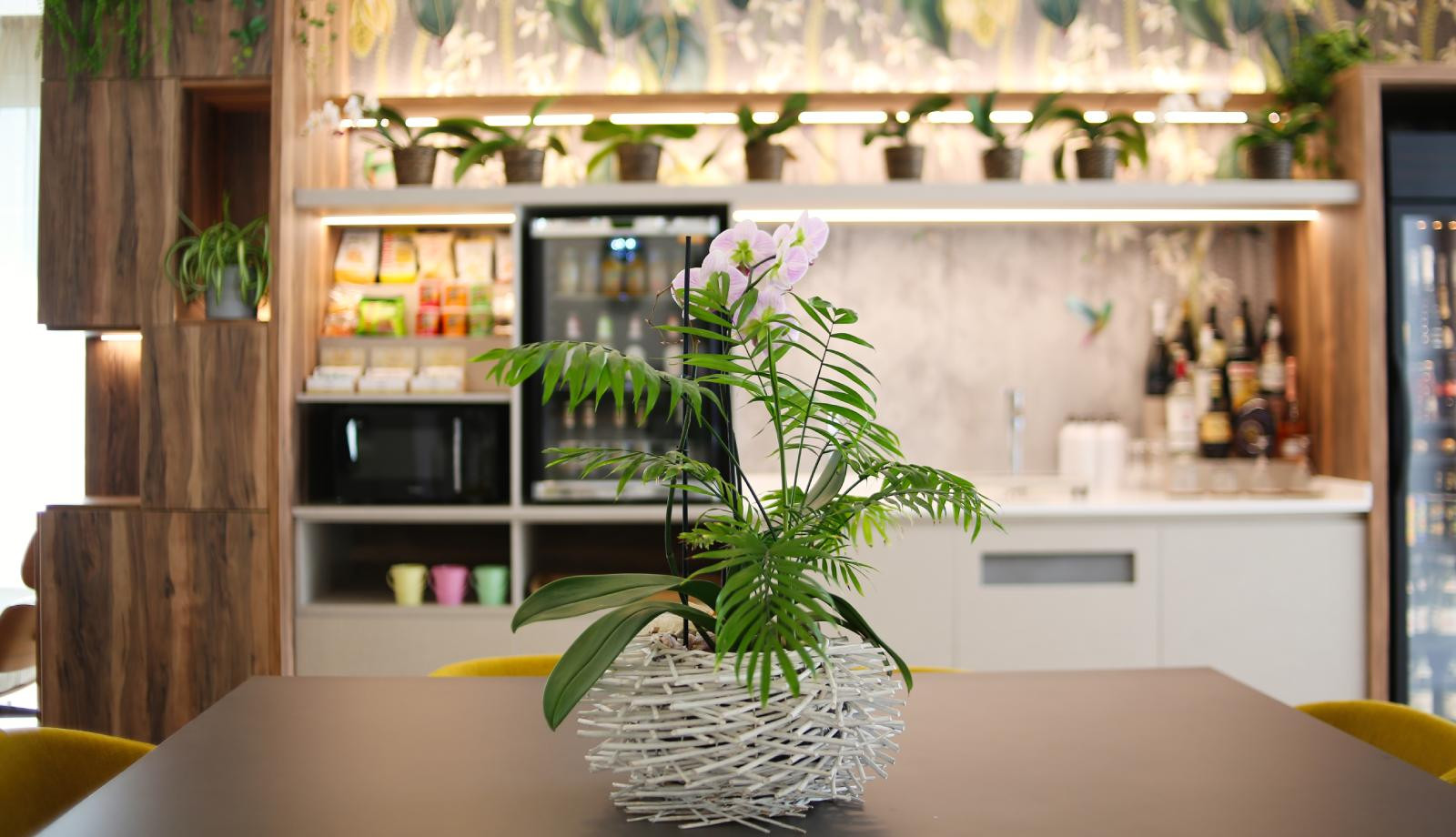 media.Hotel Select Riccione - Honesty Bar 1600x920